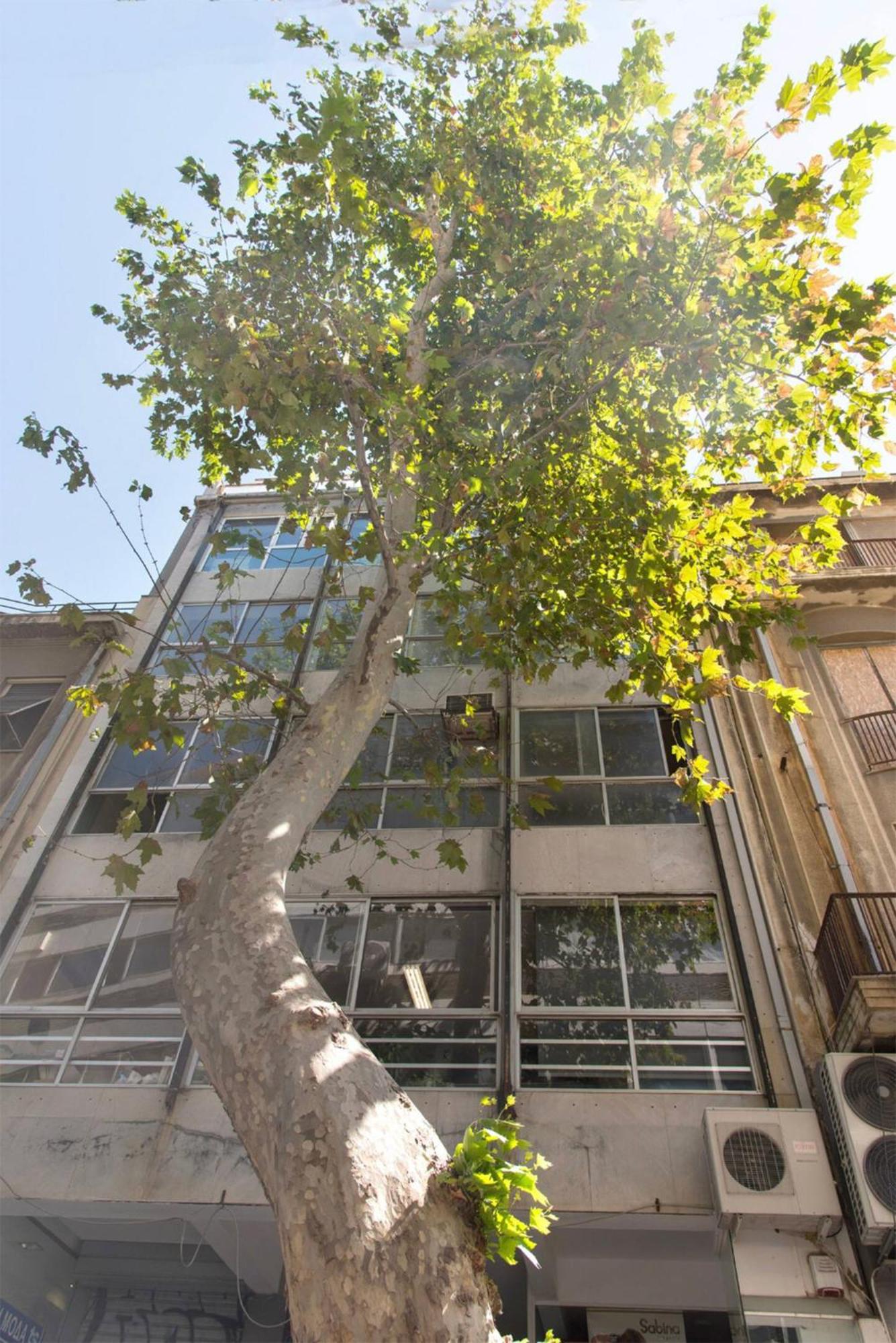 AM16 Suites Athens