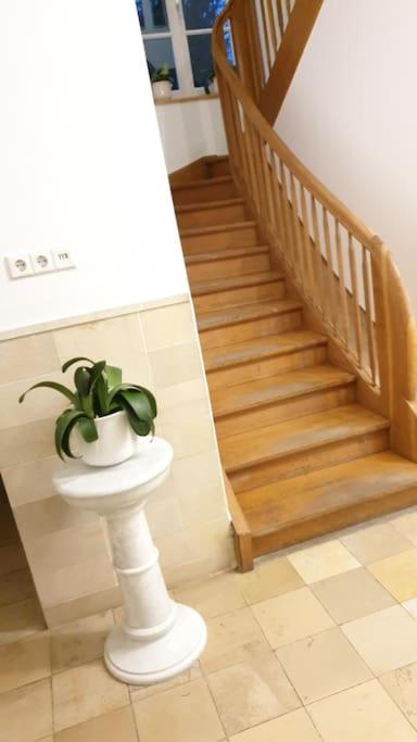 Ferienwohnung in der Villa Sana mit großem Garten