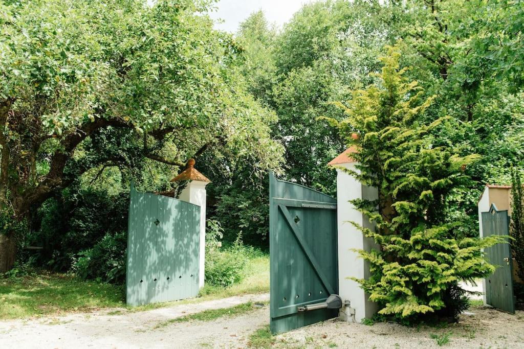 Ferienwohnung in der Villa Sana mit großem Garten