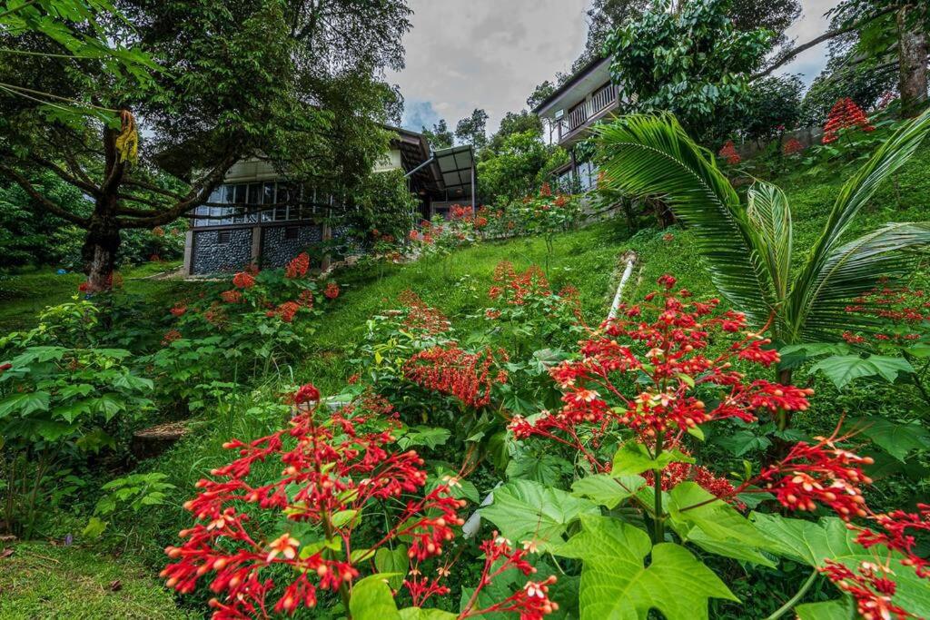 Bentong Nature Orchard Homestay