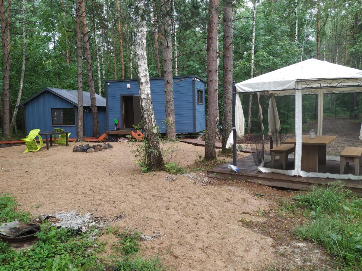 Forest Hut view 2