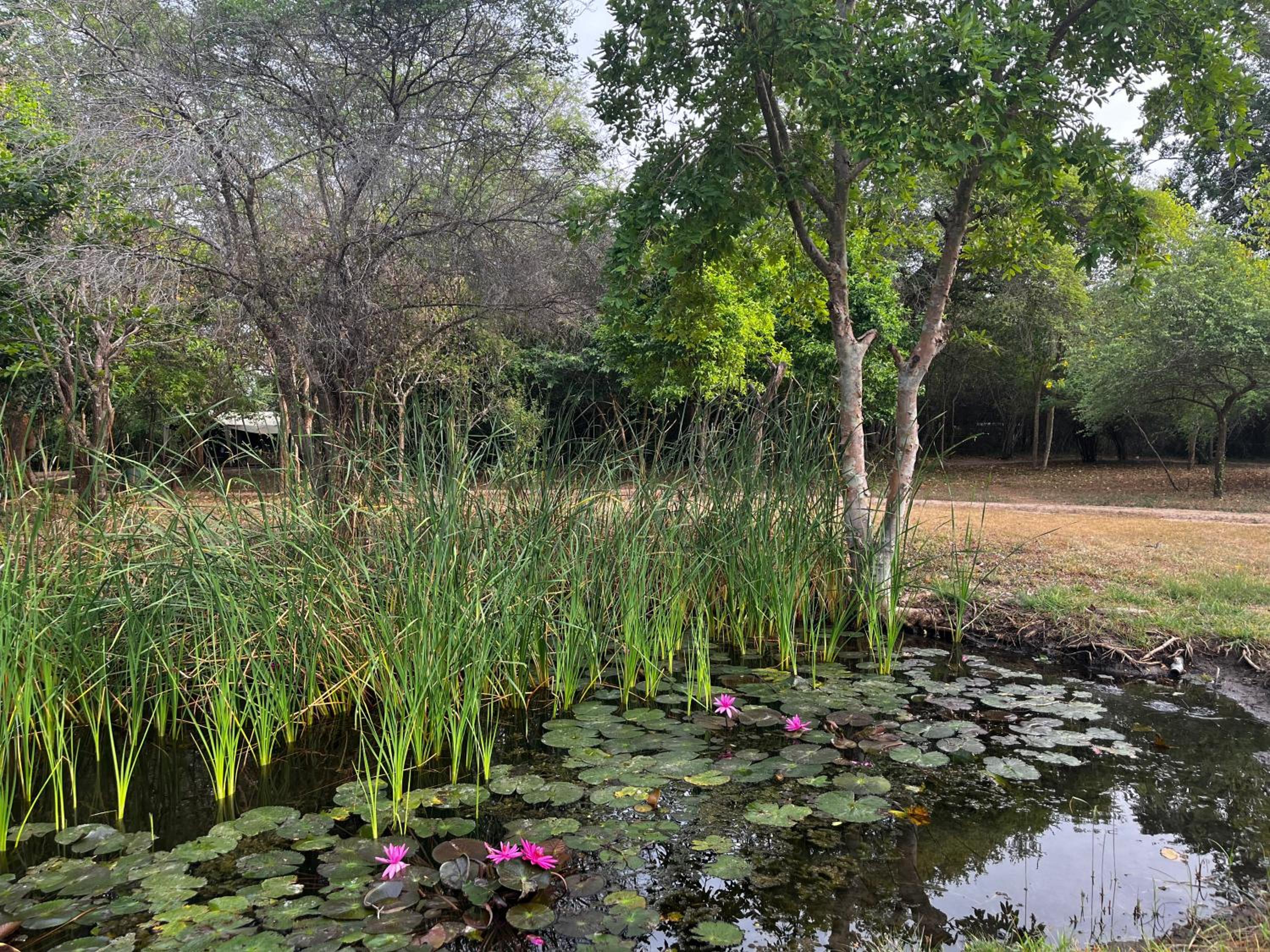 Mahoora Wilpattu - by Eco Team