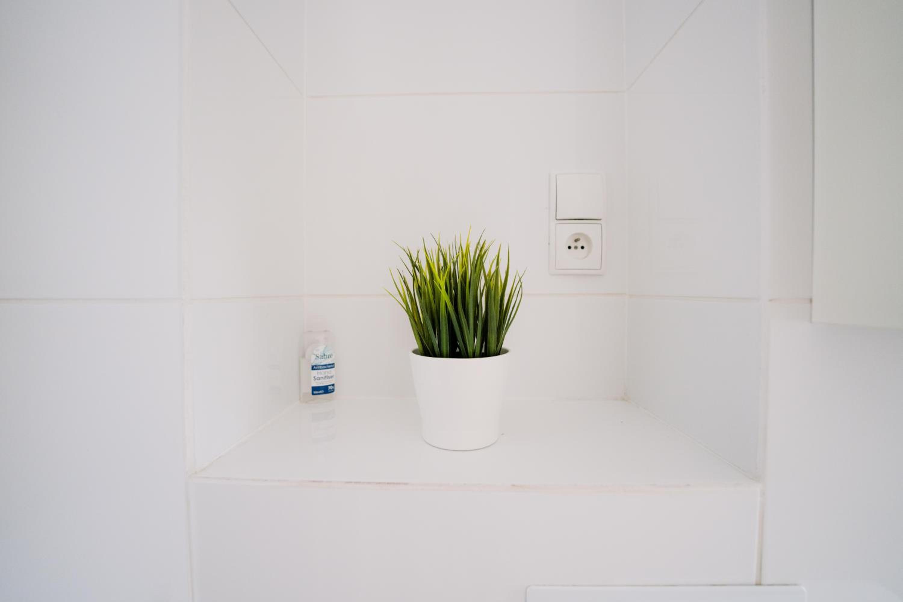 Restful Stay Apartment