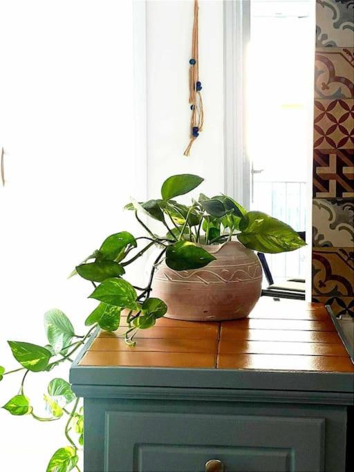 Ammoudara Apartment's