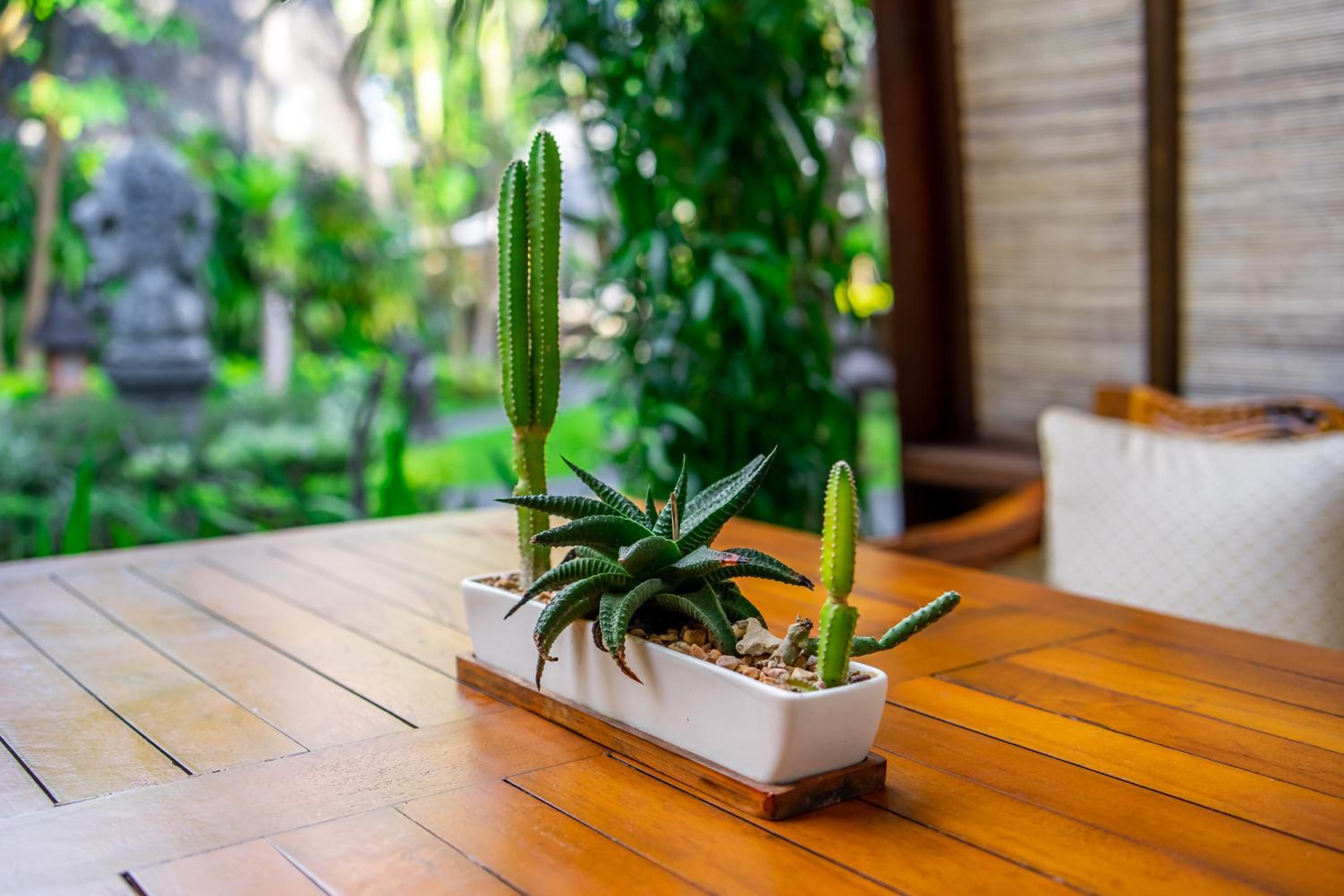 Klumpu Bali Resort