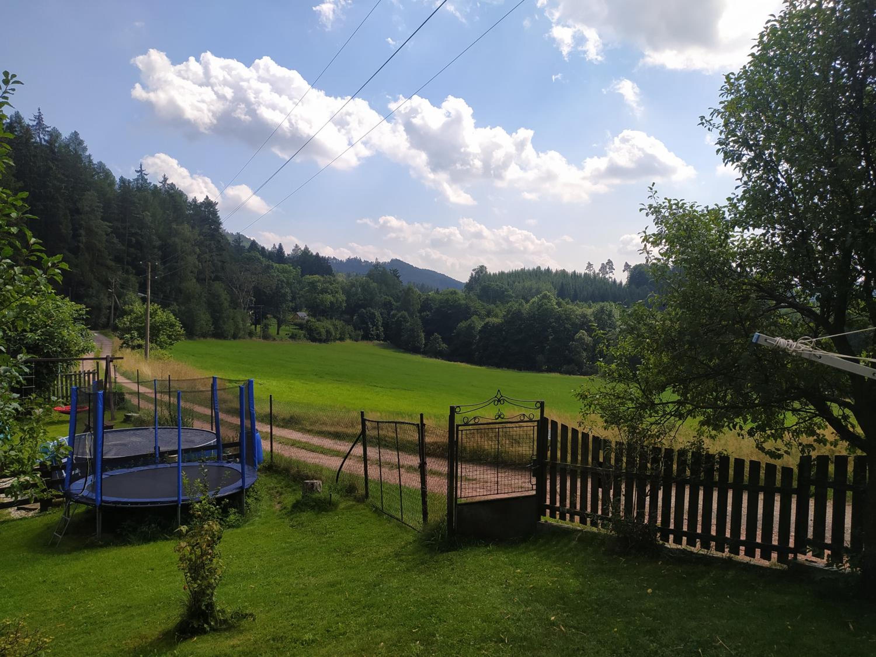 Apartmán u lesa u Adršpachu