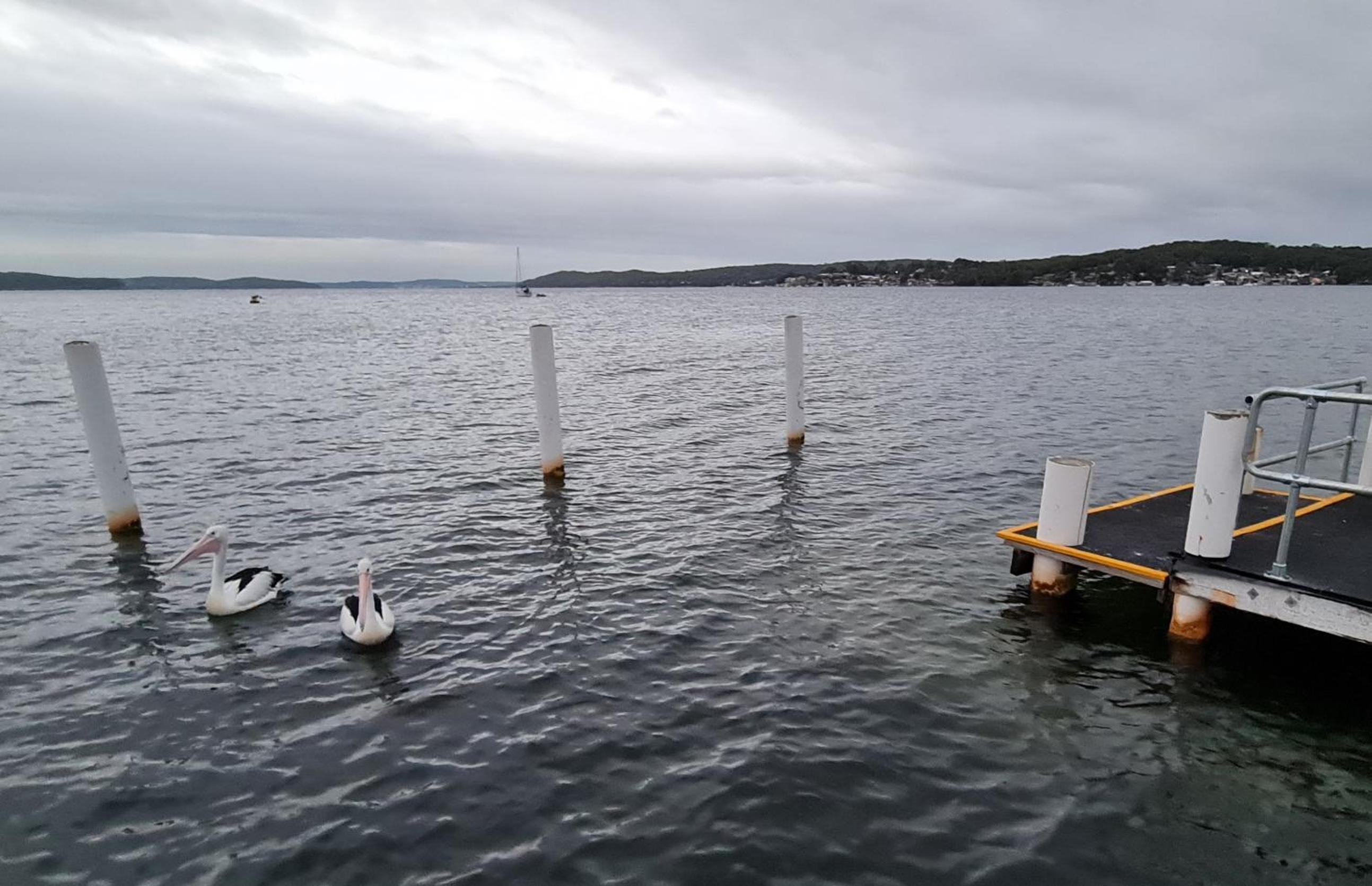 VIVID - Lake Macquarie Cosy House, heated pool, ev station, fireplace 1 hour from Sydney