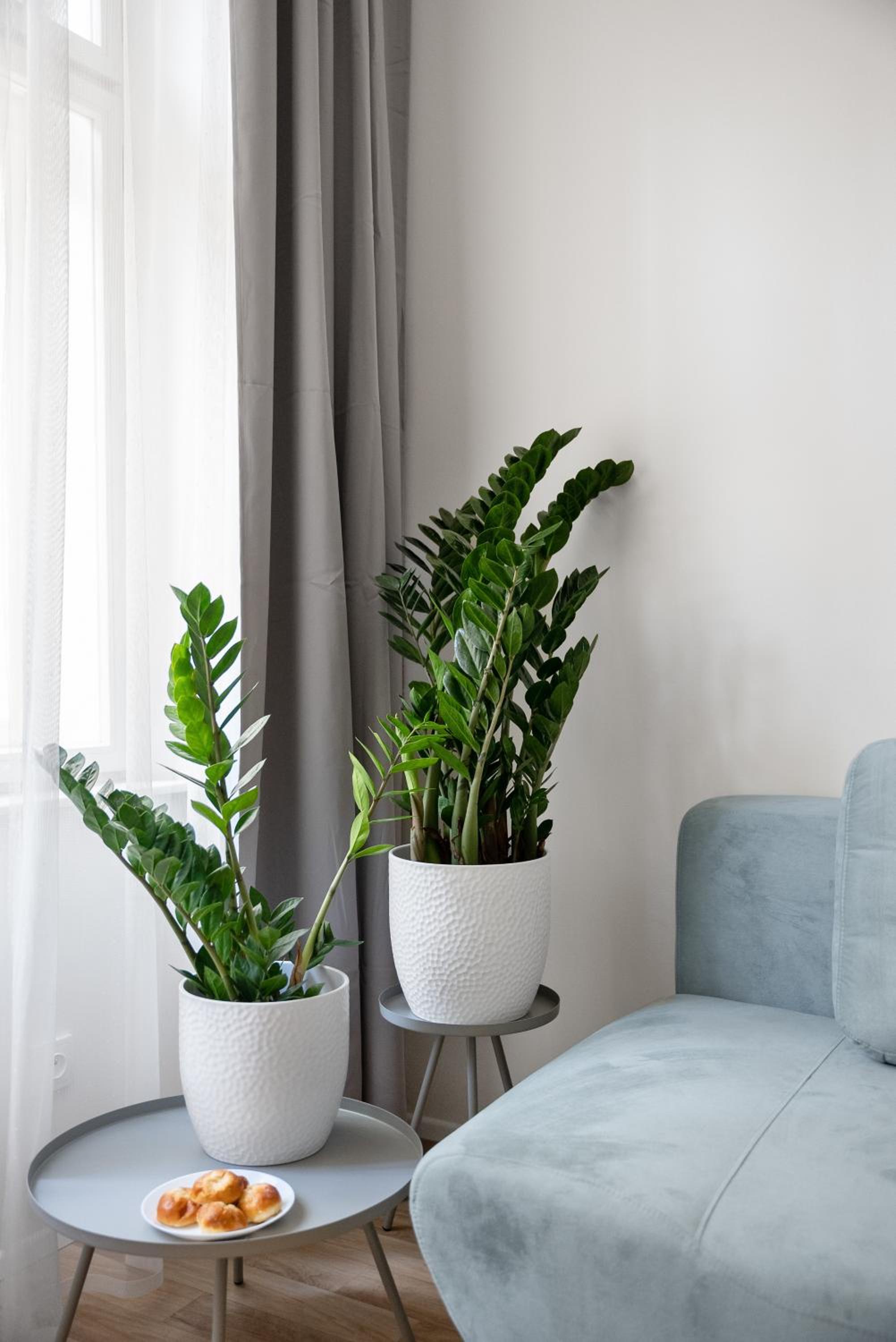 Enjoy Downtown Boutique Apartments #13 by goodnite cz