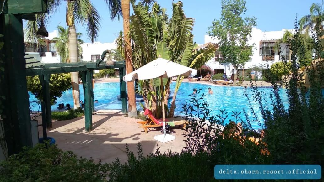 Deluxe apartment sharm