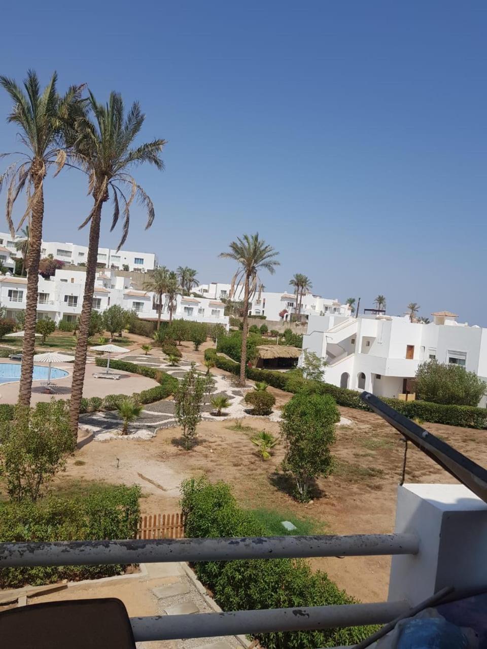 Deluxe apartment sharm