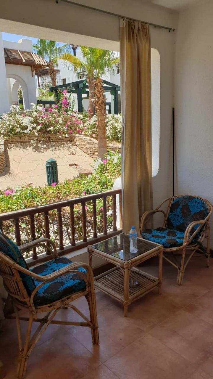 Deluxe apartment sharm