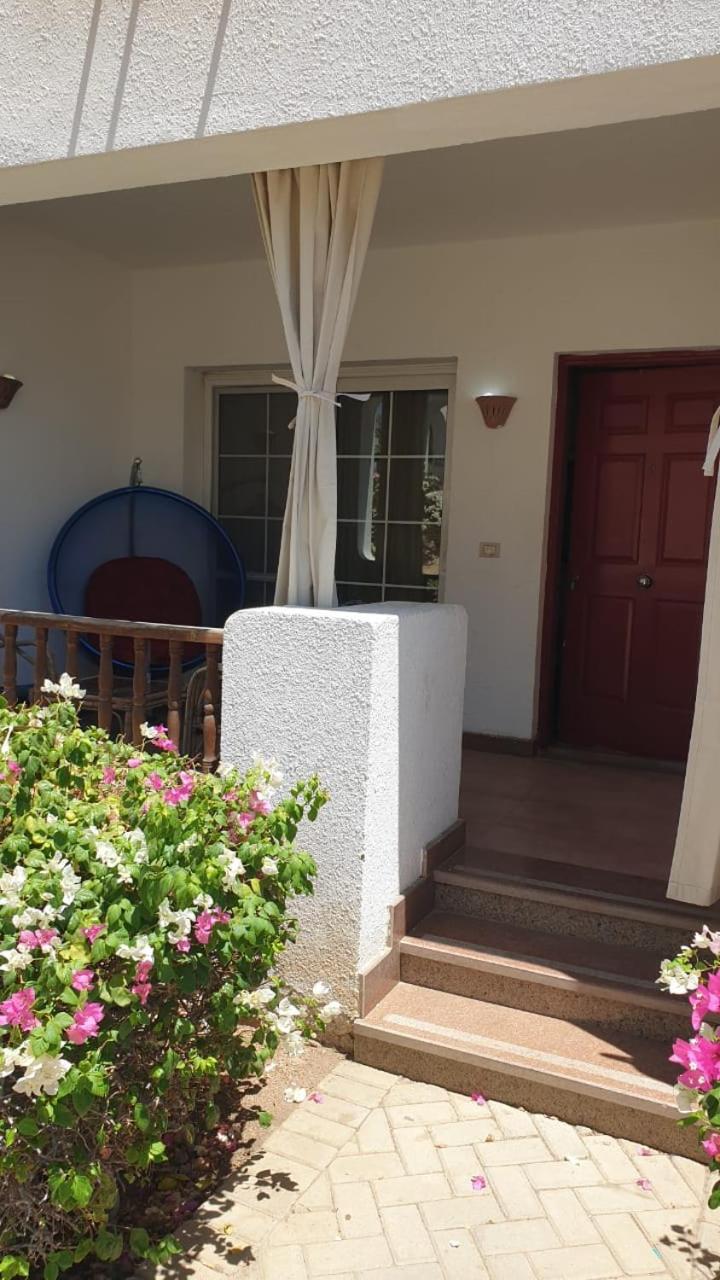 Deluxe apartment sharm