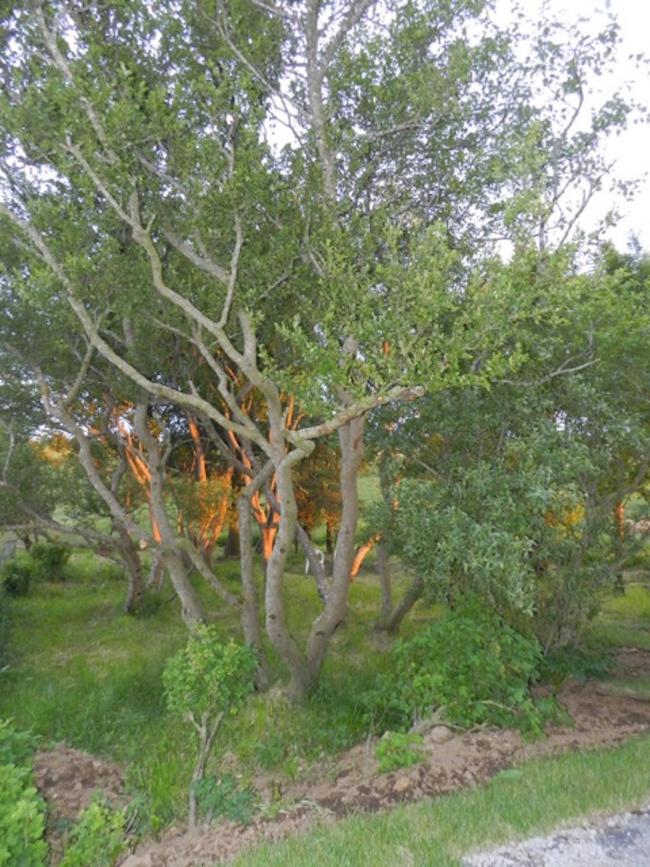 Photo 17