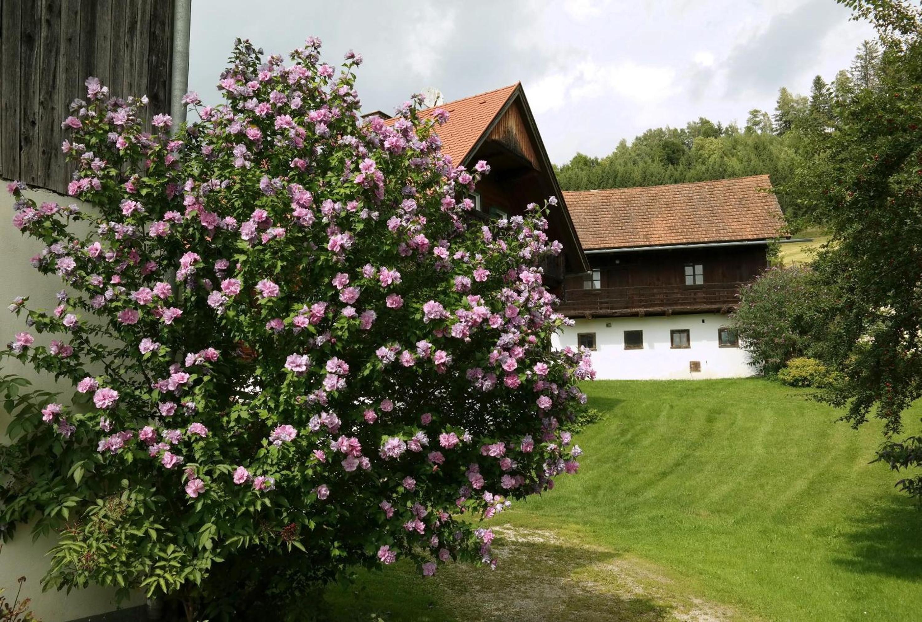 Ferienwohnungen Raczkowski