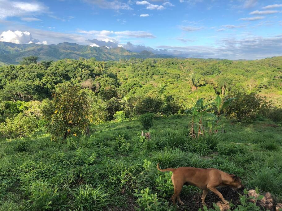 Luxury Villa Carao - Serene Amazing Views and Starlink