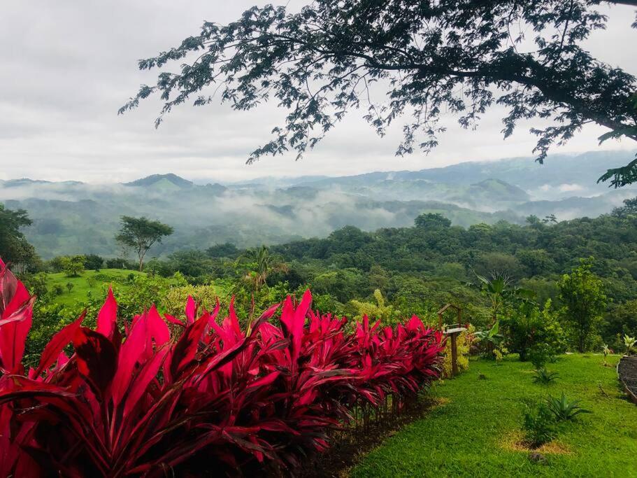 Luxury Villa Carao - Serene Amazing Views and Starlink