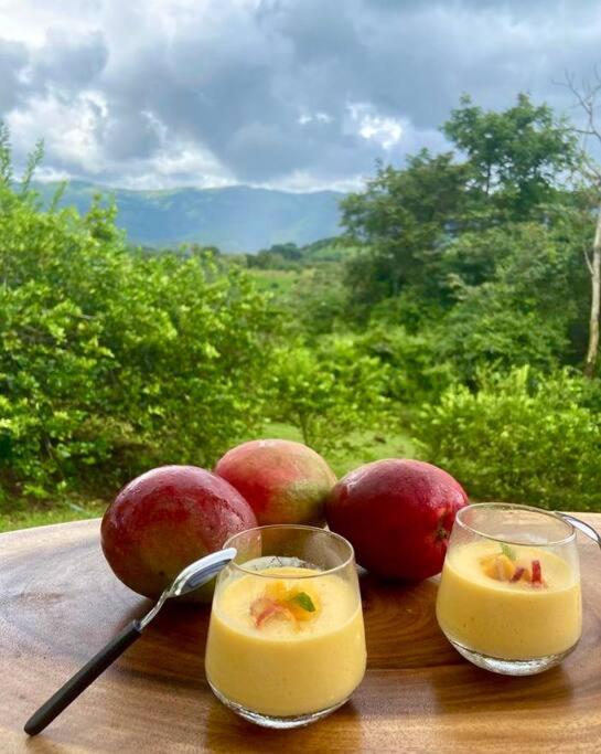 Luxury Villa Carao - Serene Amazing Views and Starlink