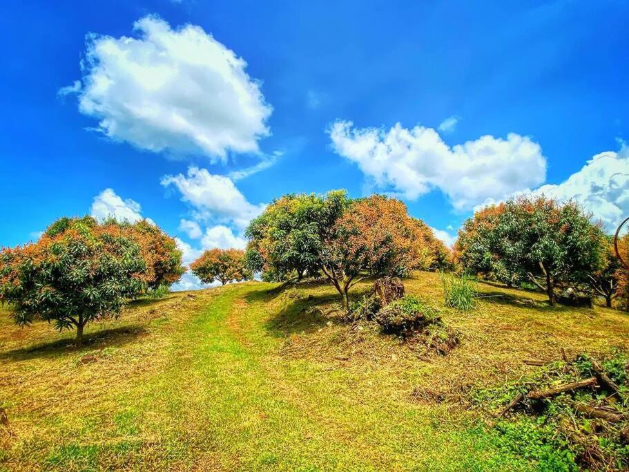 Luxury Villa Carao - Serene Amazing Views and Starlink