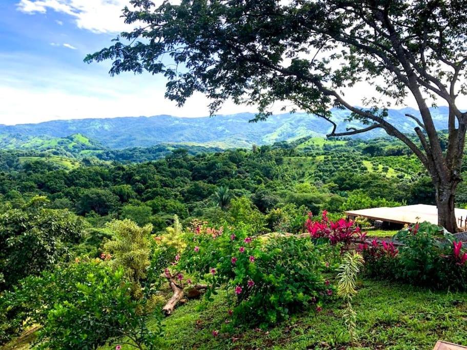 Luxury Villa Carao - Serene Amazing Views and Starlink