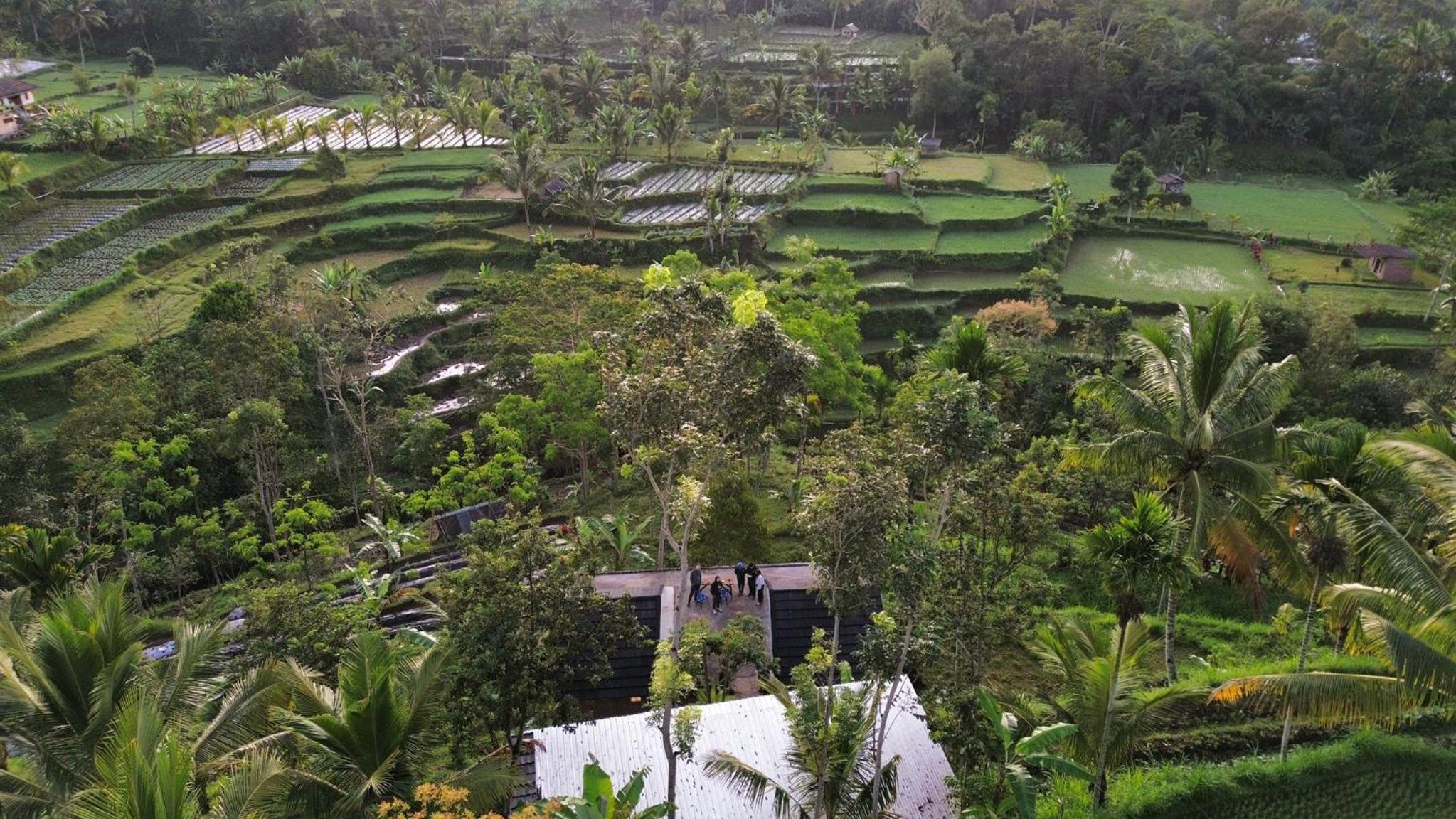 Tetebatu Fullmoon