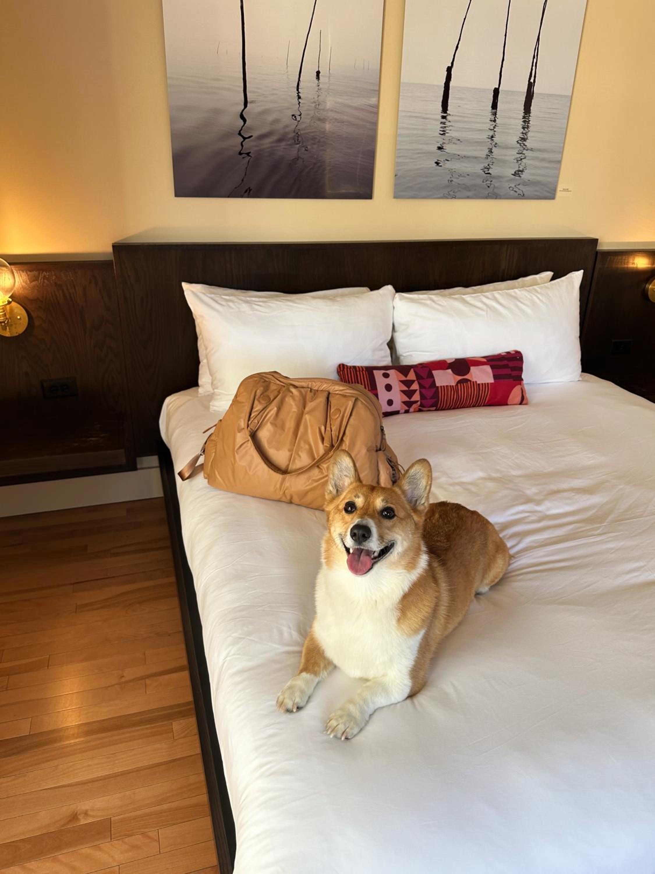 Portland Vacations - The Francis Hotel - Property Image 47