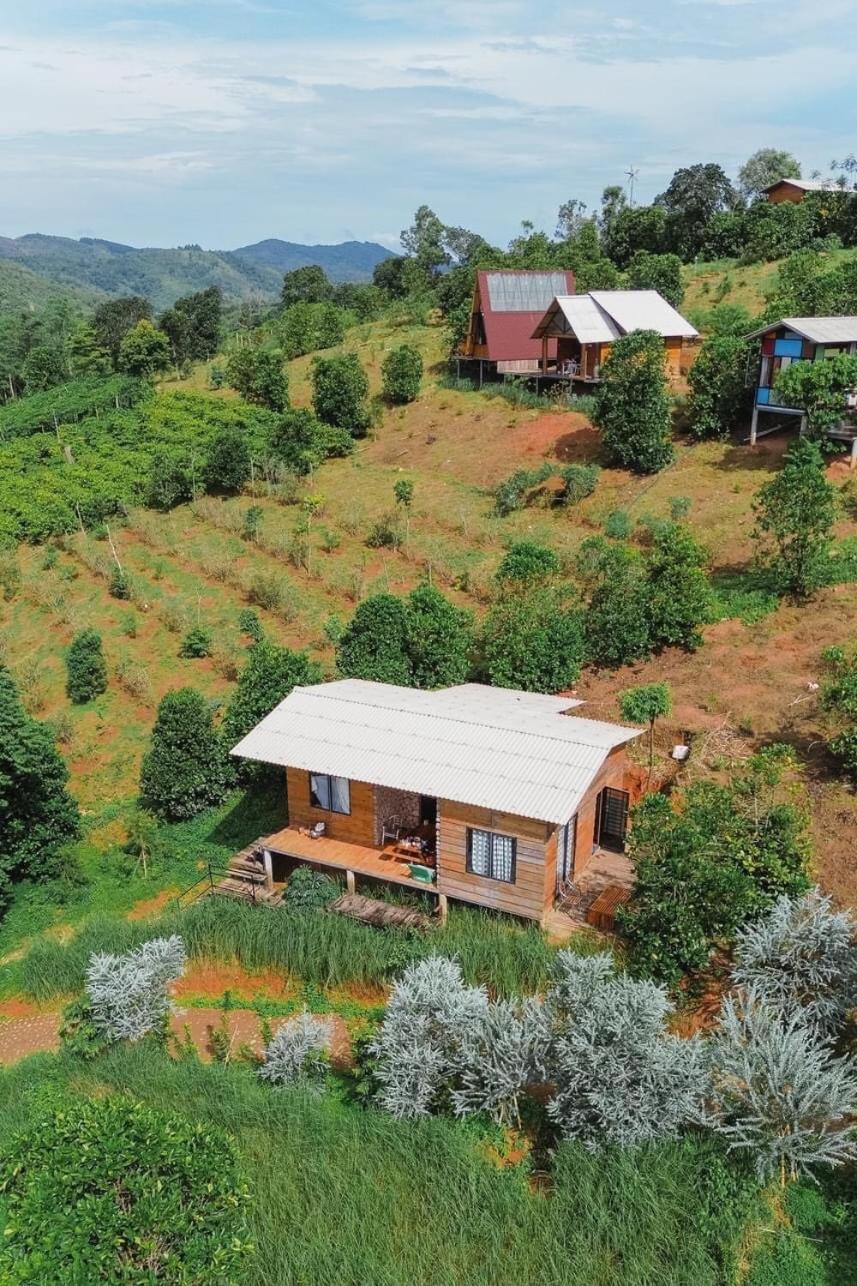Năm mùa Bungalows