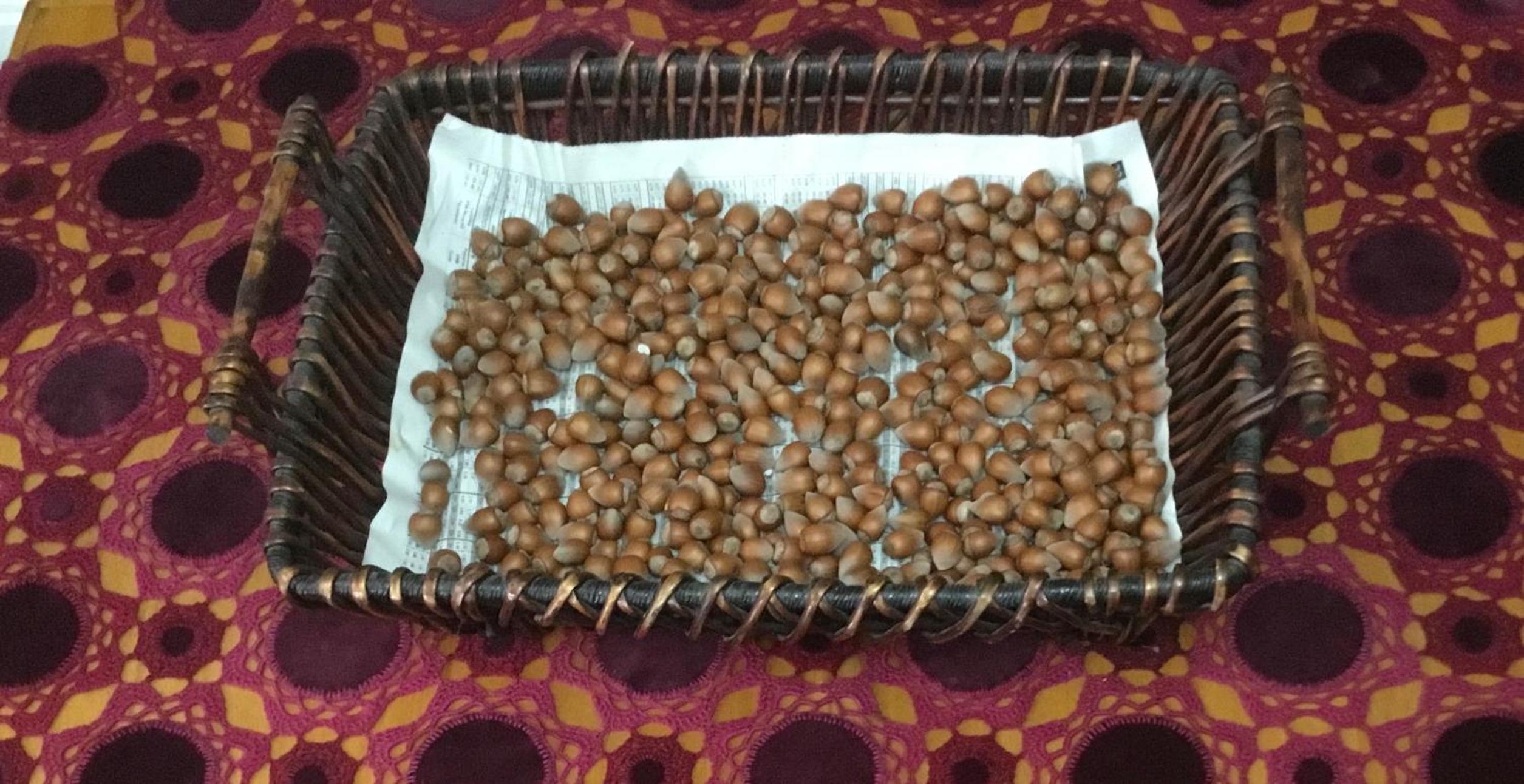 Vila Tradicionale Violeta Korce