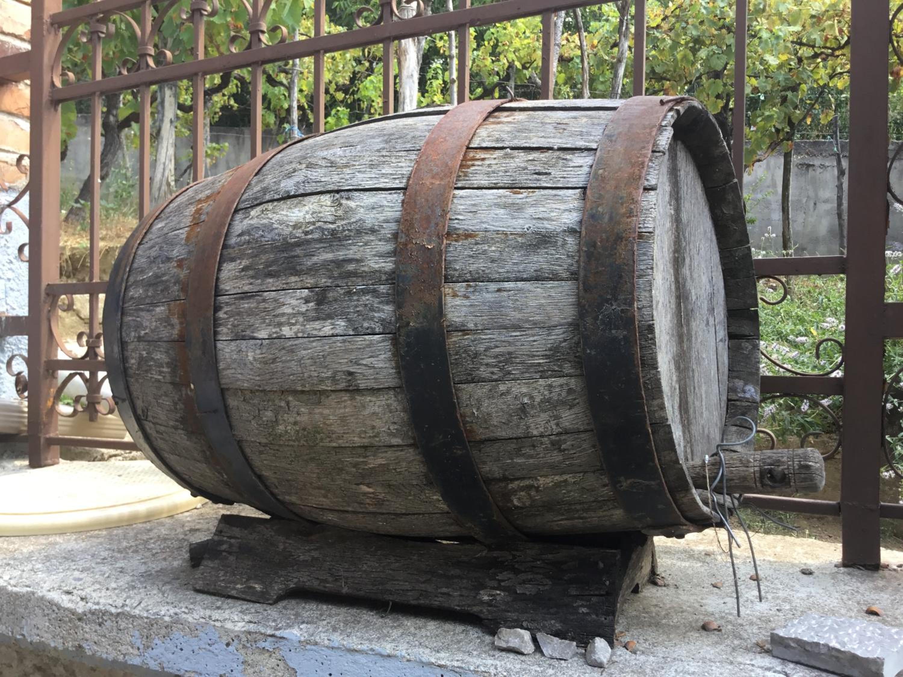 Vila Tradicionale Violeta Korce