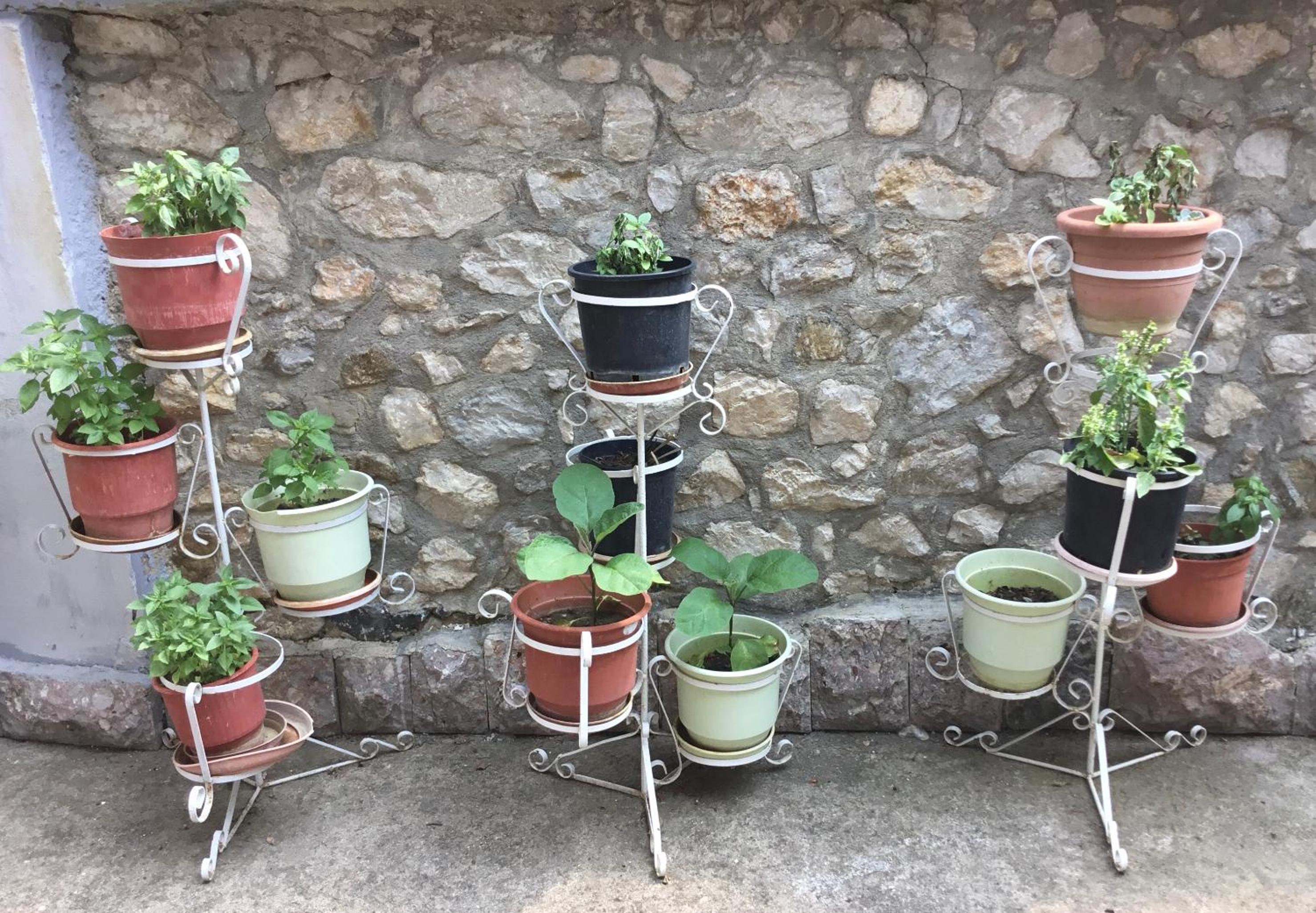 Vila Tradicionale Violeta Korce