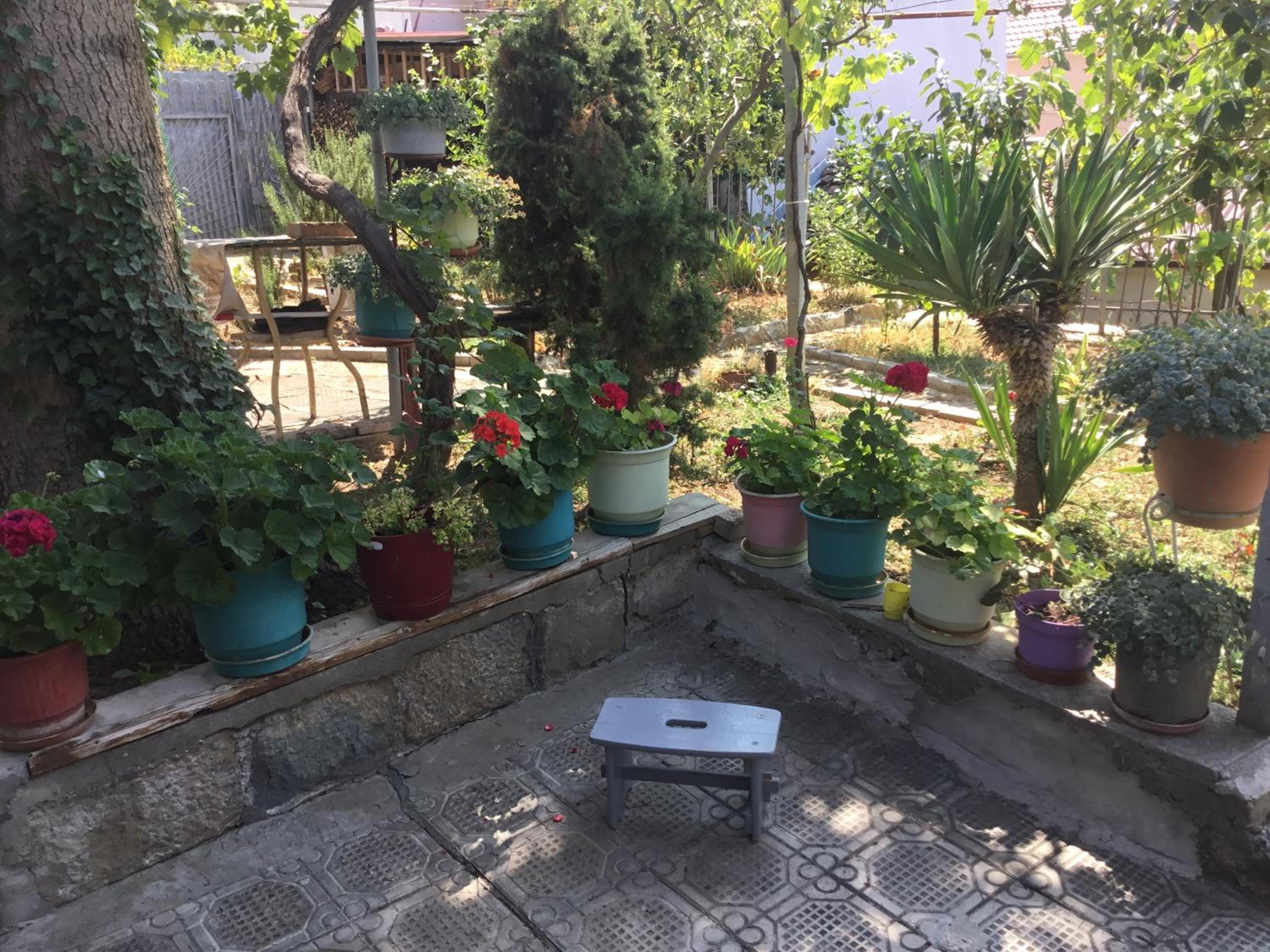 Vila Tradicionale Violeta Korce