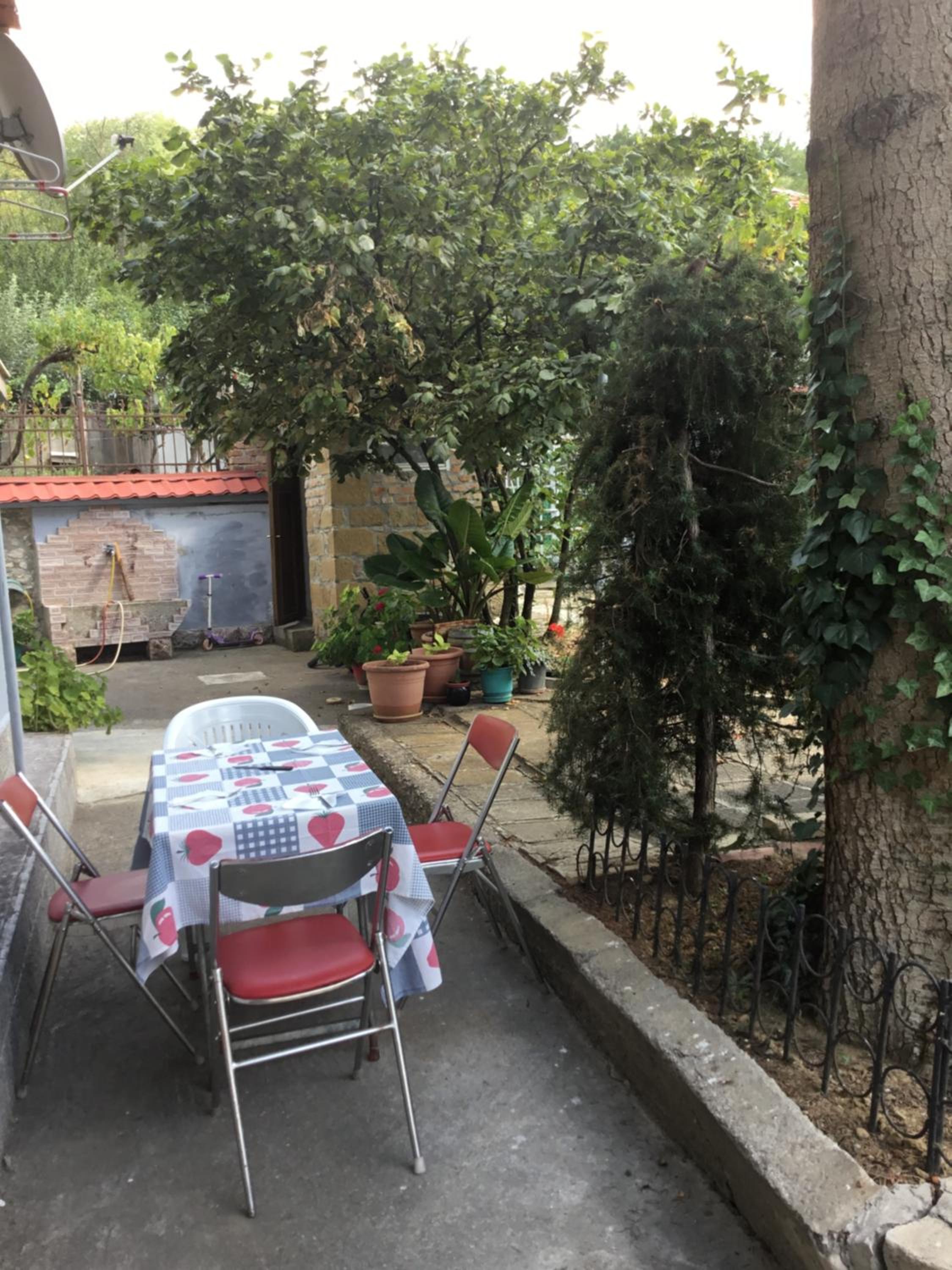 Vila Tradicionale Violeta Korce
