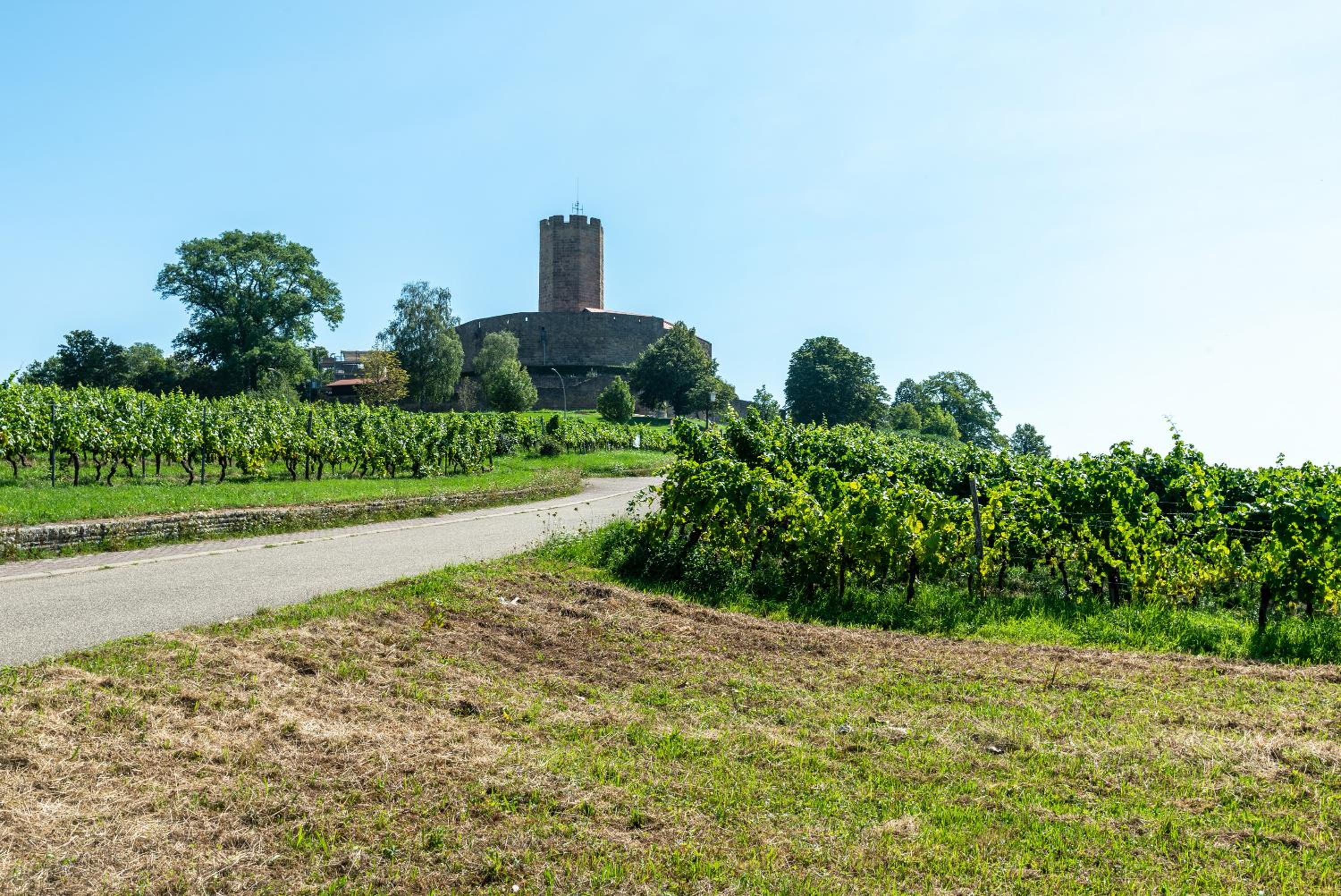 Ferienwohnung Burgblick