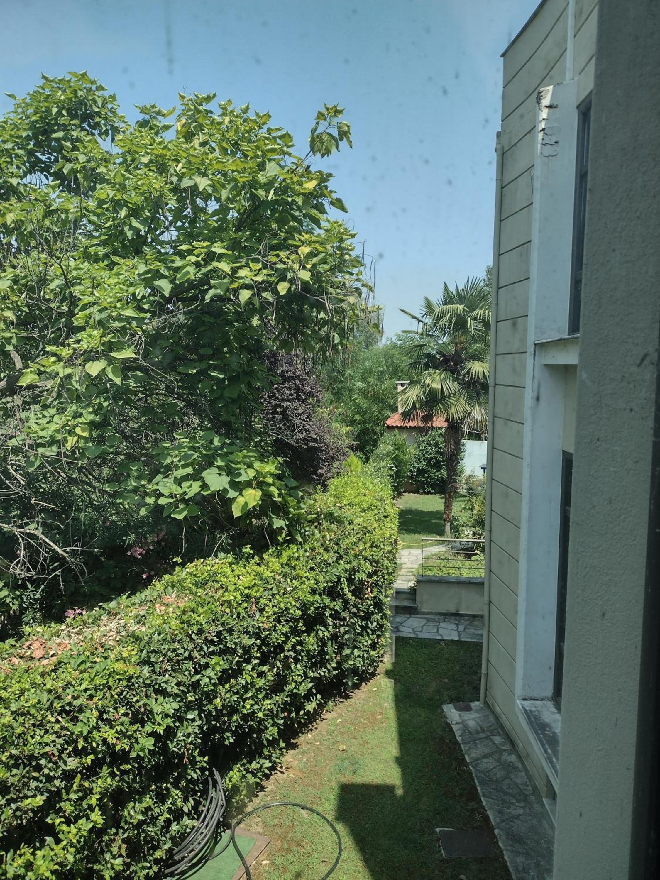 Photo 32