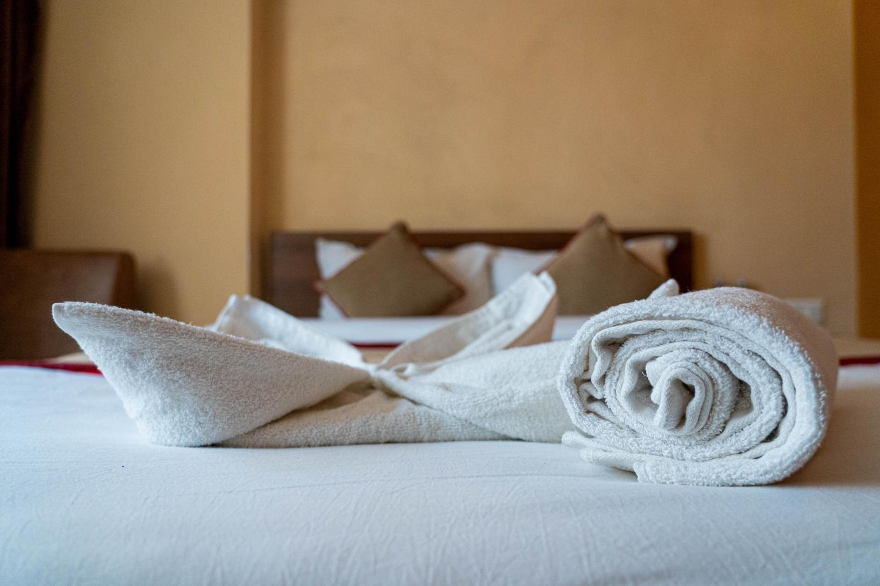 Holiday Hostel