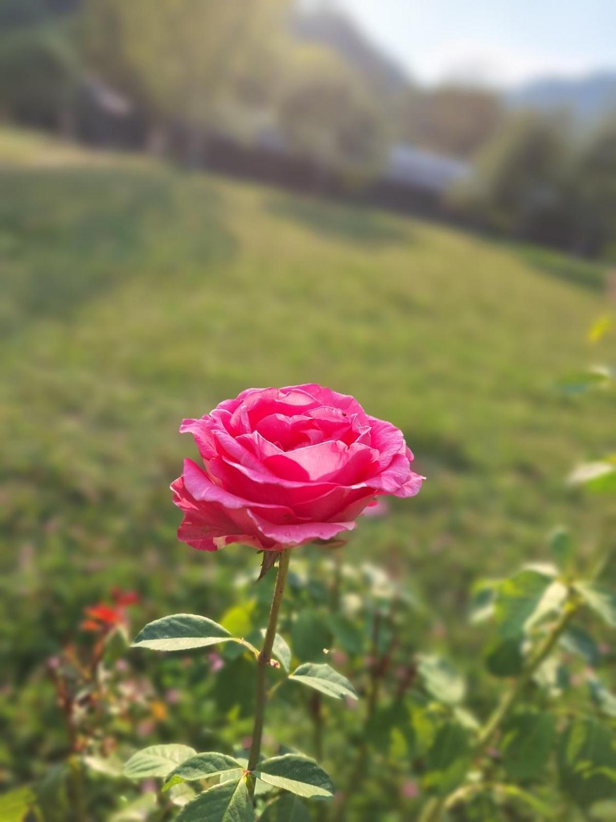 Kuća za odmor 