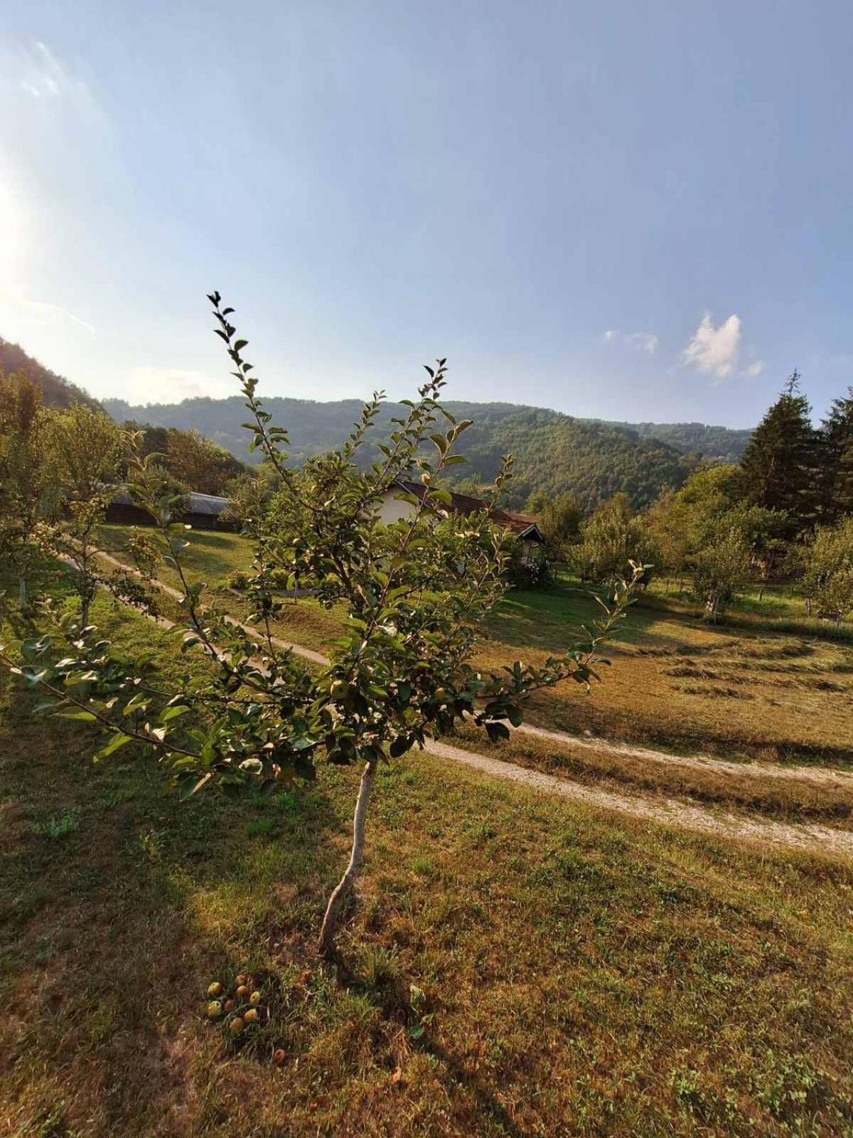 Kuća za odmor 