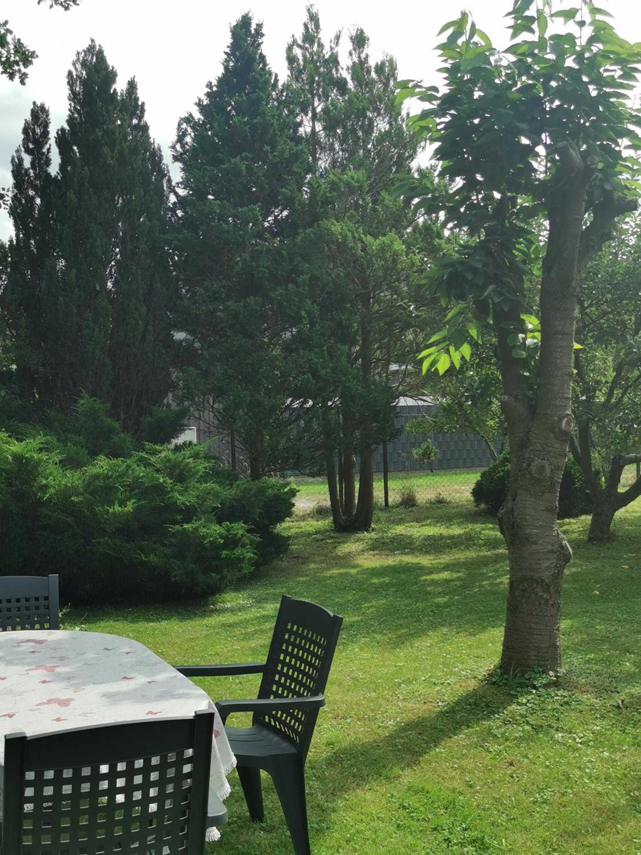 Pension zum Park