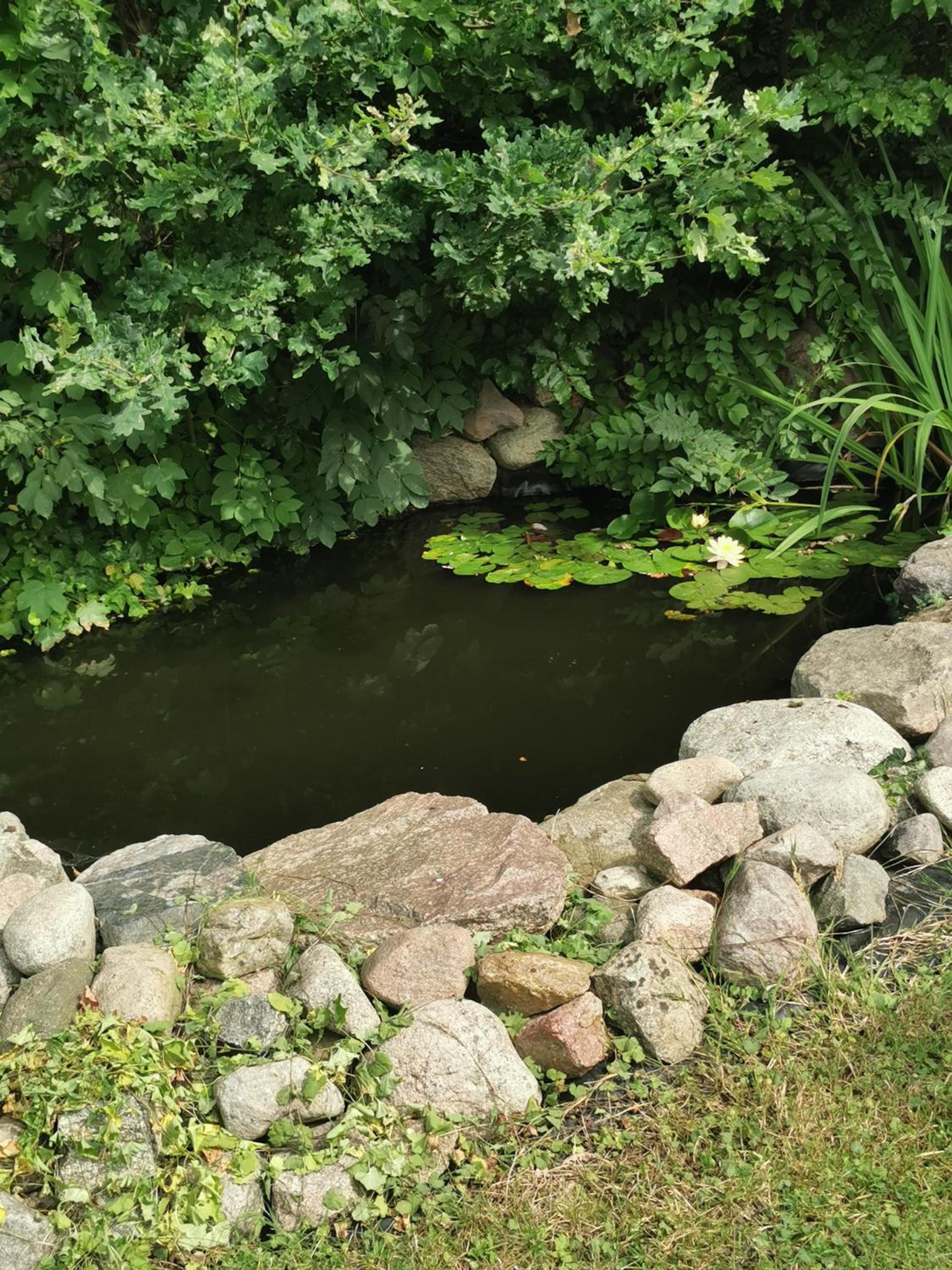 Pension zum Park