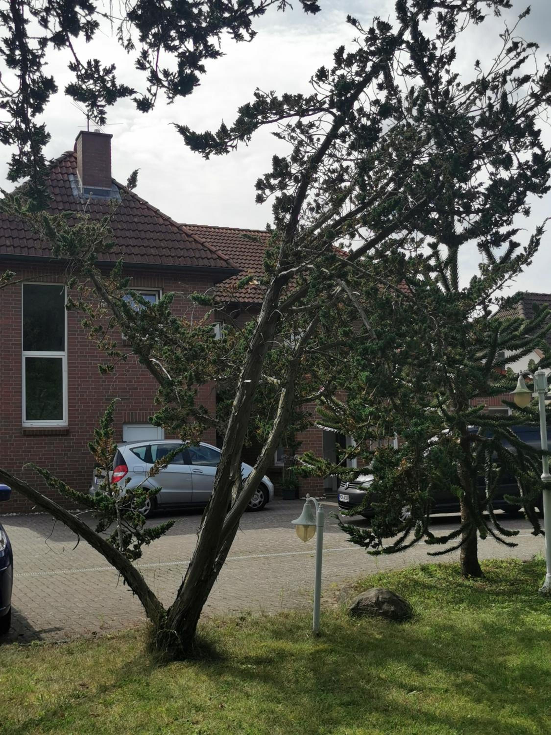 Pension zum Park