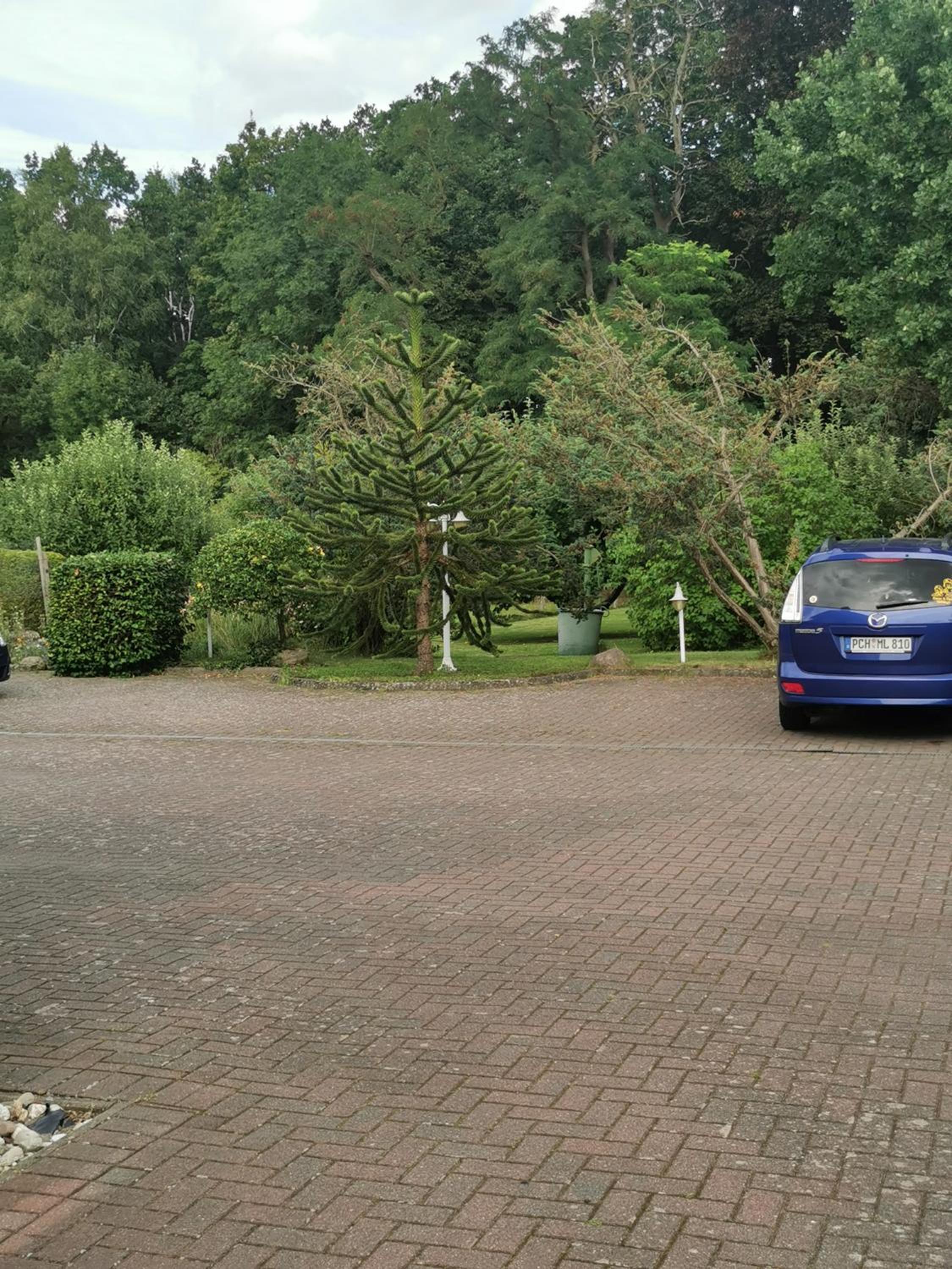 Pension zum Park