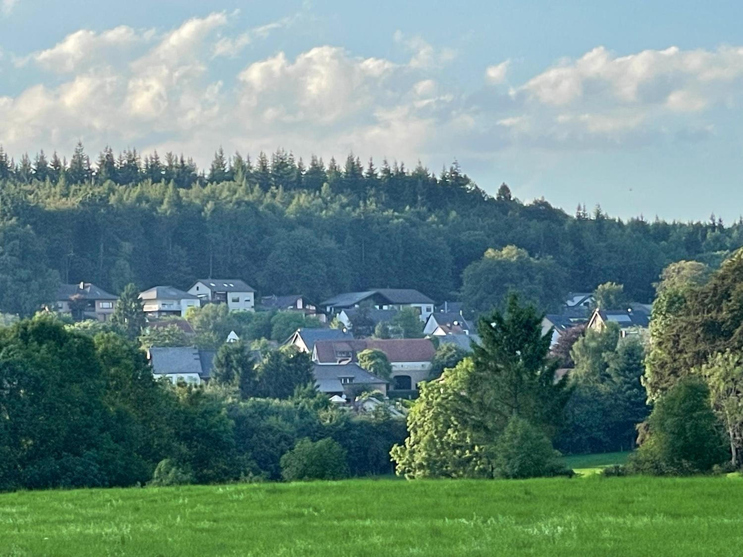 Ferienhaus Eifelblick