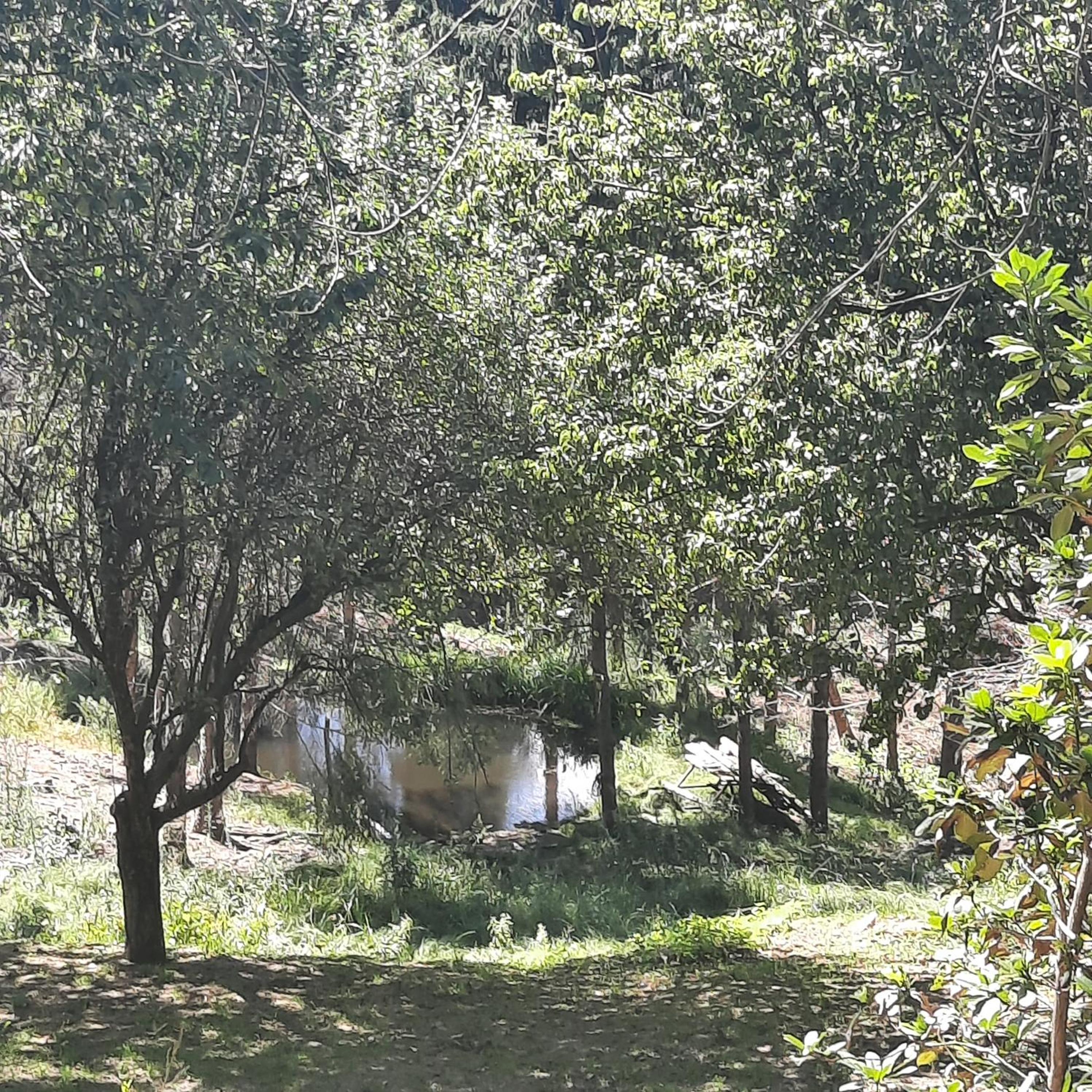 CascinaMirta
