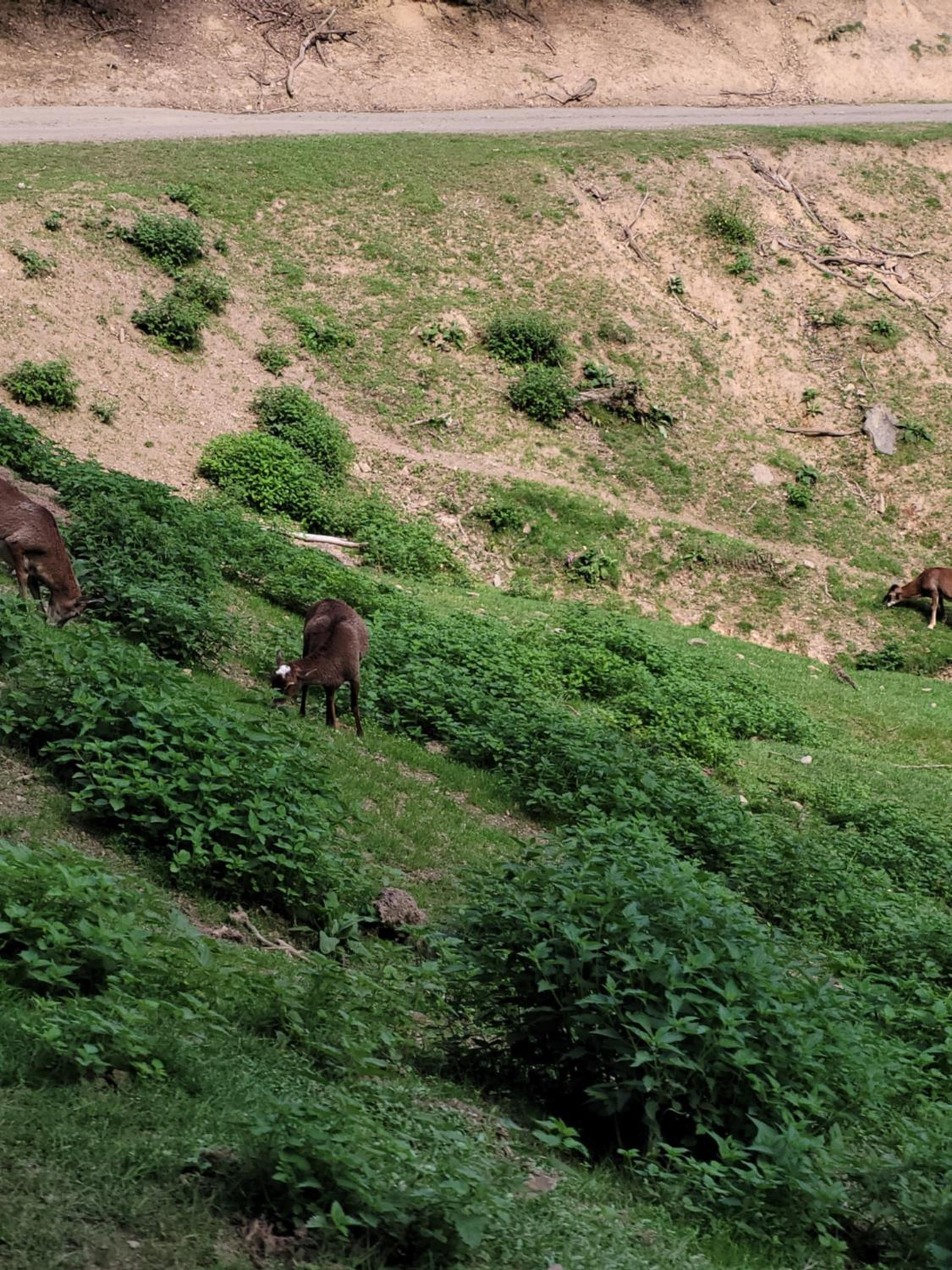 Photo 30
