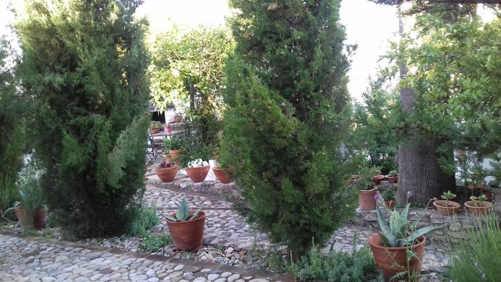 Casas de Almajar