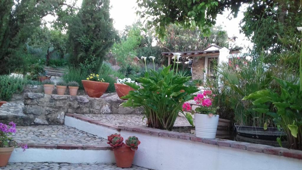 Casas de Almajar