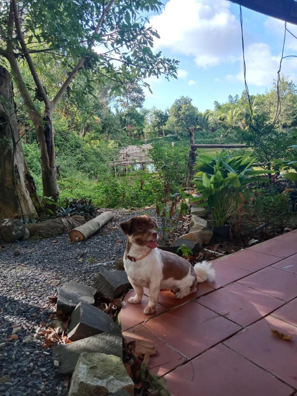 TINA LAKESIDE AO ĐÔI Homestay Phước Hải