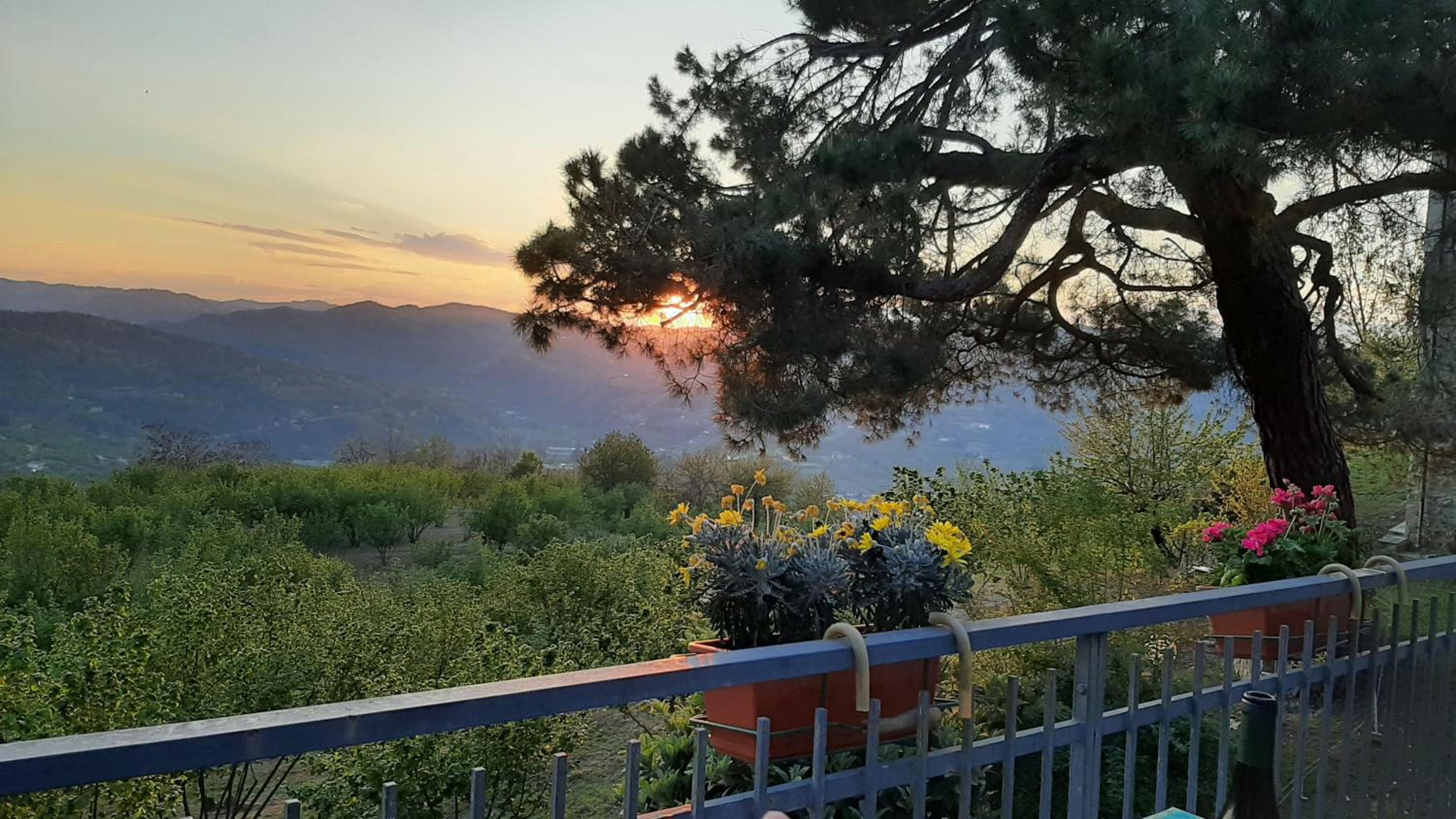 La Cuccia del Sole Panoramische appartementen met zwembad view 2