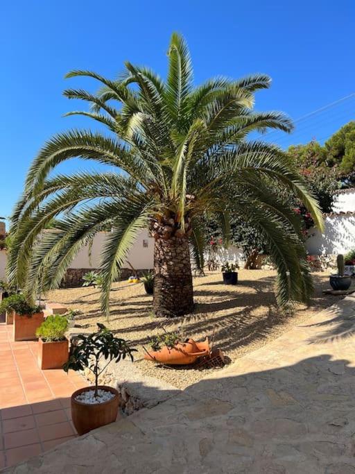 CASA SERENITA charming villa with swimming pool