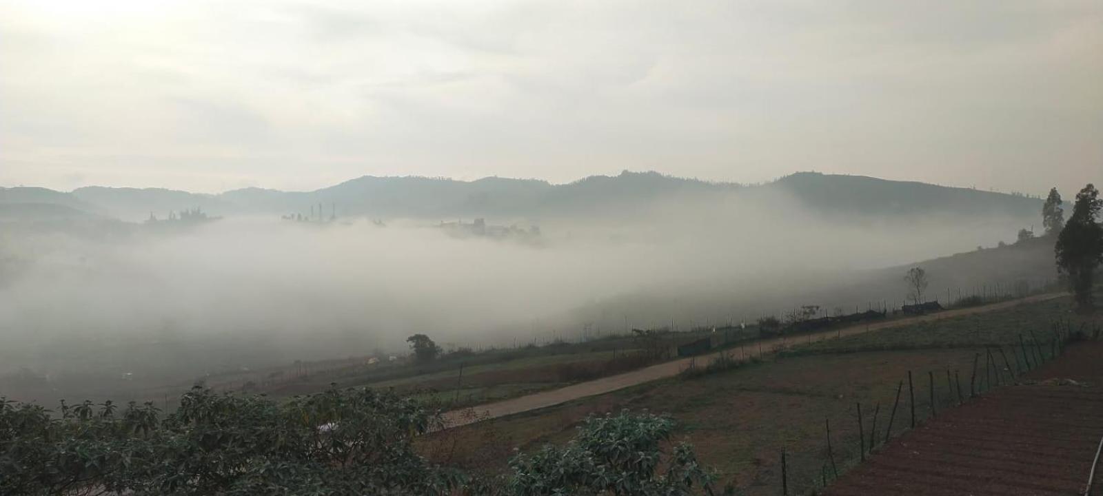 Britiish county ooty