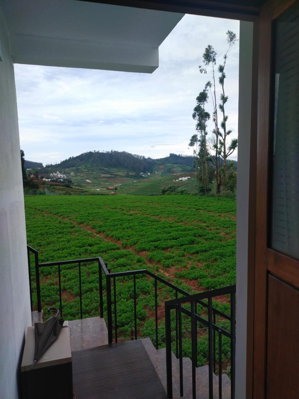 Britiish county ooty